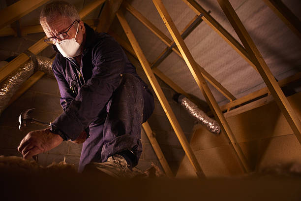 Best Cellulose Insulation in Morgantown, IN